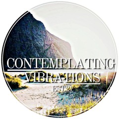 Contemplating Vibrations [#10] Paranoid SouL.