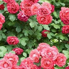 good love - ft jessa artist