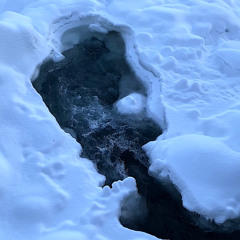 þingvellir creek