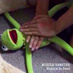 Riddim Is Dead