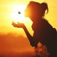 Schatten Ohne Licht/Sydex