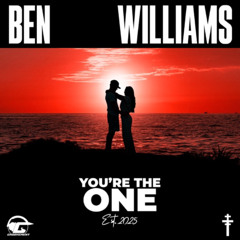Ben Williams - You're The One (HRMV Remix)