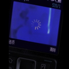 V exotic - Reputation