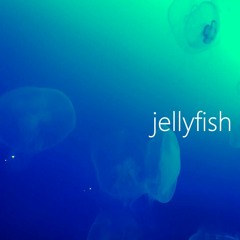jellyfish