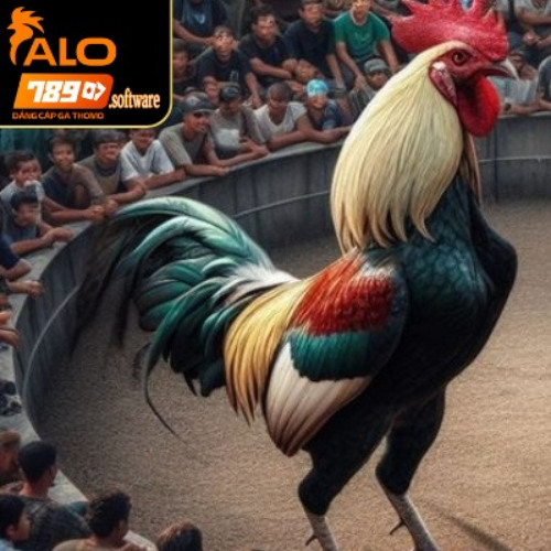 Khám Phá Alo789 - Điểm Đến Chất Lượng Cho Giải Trí Không Giới Hạn