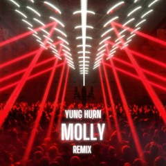 Yung Hurn - Molly (unreleased) (Valexus Techno Remix)