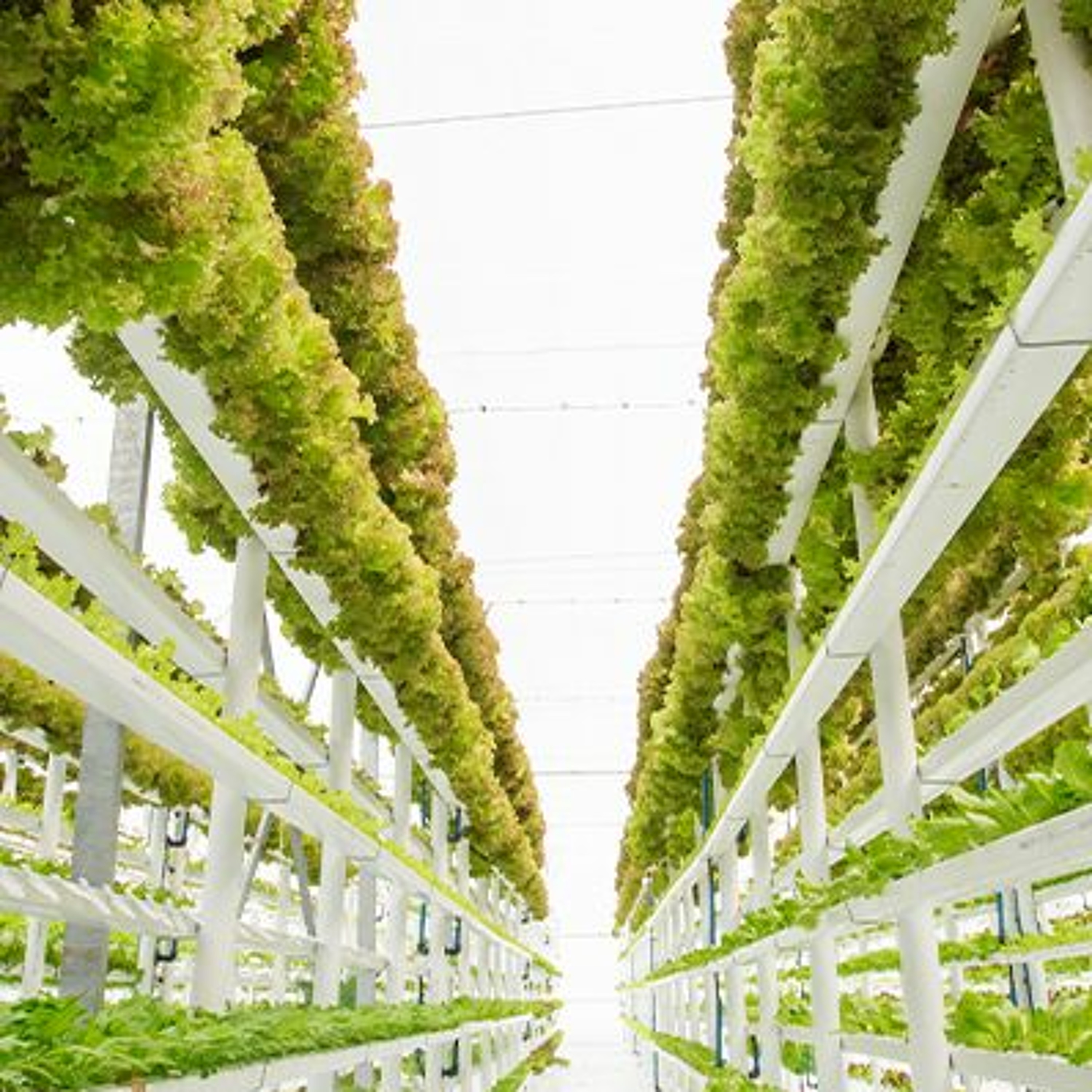 GreenTech podcast