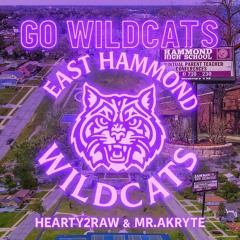Hearty2RAW x MR. AKryte - Go WILDCATS!...m4a