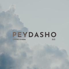 PEYDASHO