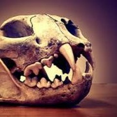 dried bones