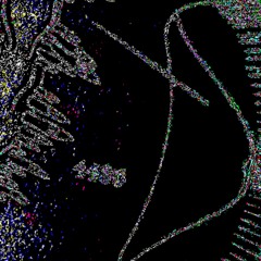 evyhank - angel (ep)