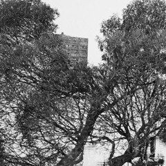 deep dub, downtempo, ambient dub