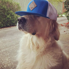 хаваю свою болю