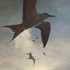 Aloha Got Soul Presents: Home Grown 220326