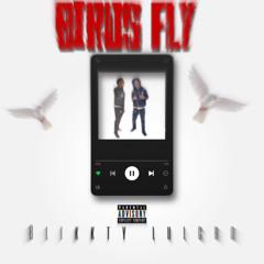 Birds fly made by blikkt,lulcro