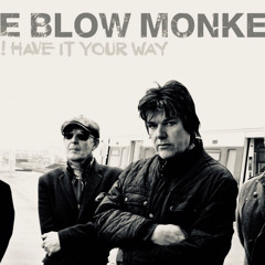 Ok Have It Your Way… The Blow Monkeys
