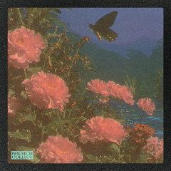 Thorn.vii - Last Exit