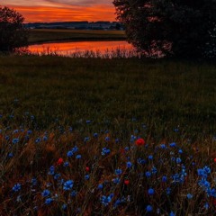 Somber (Prod. Ill Instrumentals)