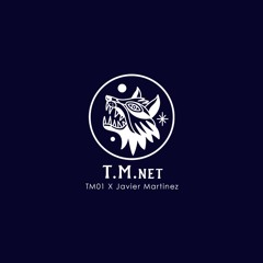 TM01 X Javier Martínez