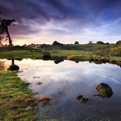 Rain The Sky ( Original Mix )