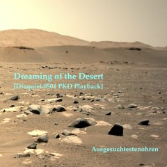 Dreaming Of The Desert [disquiet0501]
