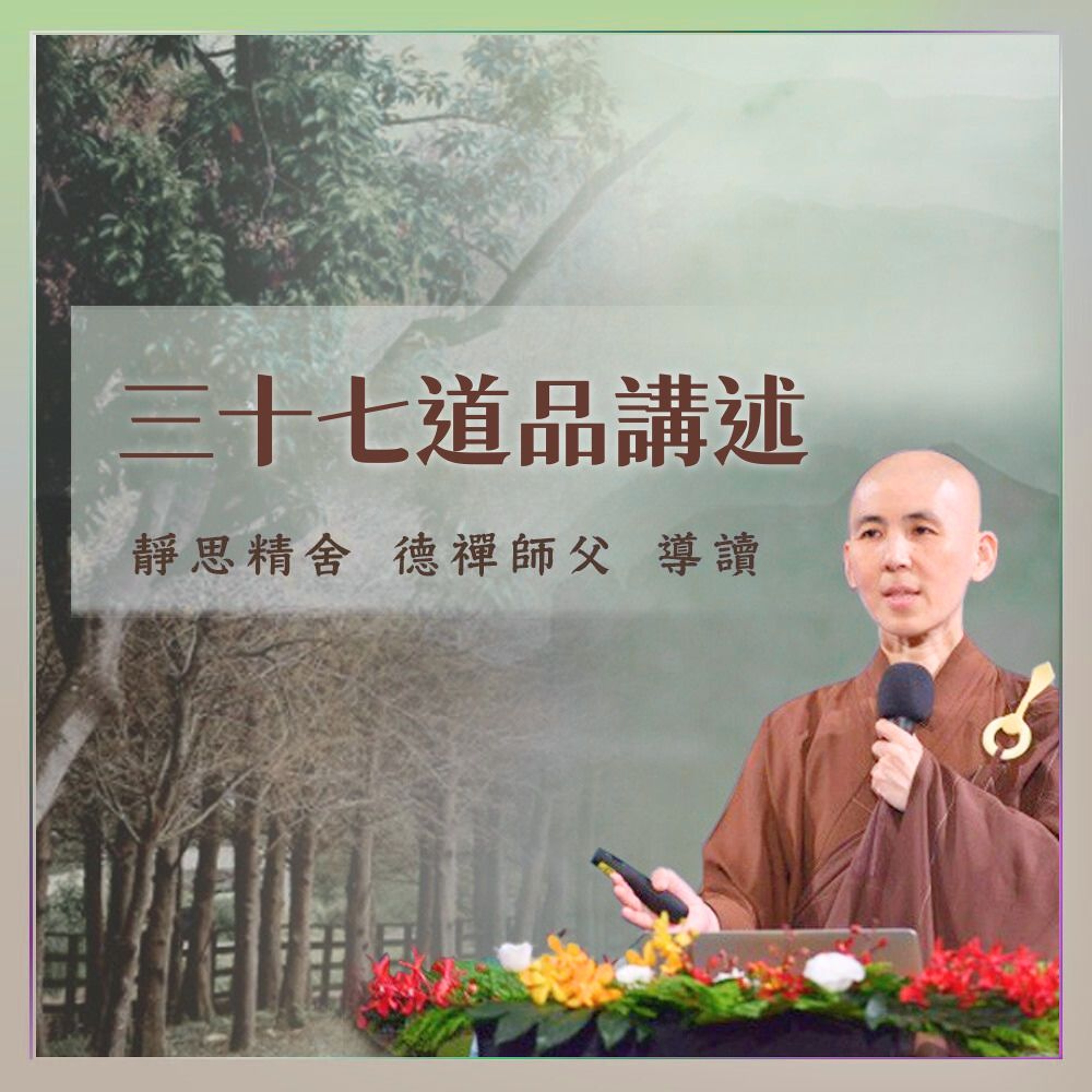 德禪師父導讀三十七道品講述_12 八正道(二)