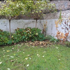 Happy birthday L.G.R.