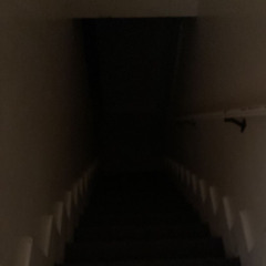 Scotophobia