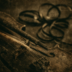 Magnetoform I - Echoes of a Broken Bow