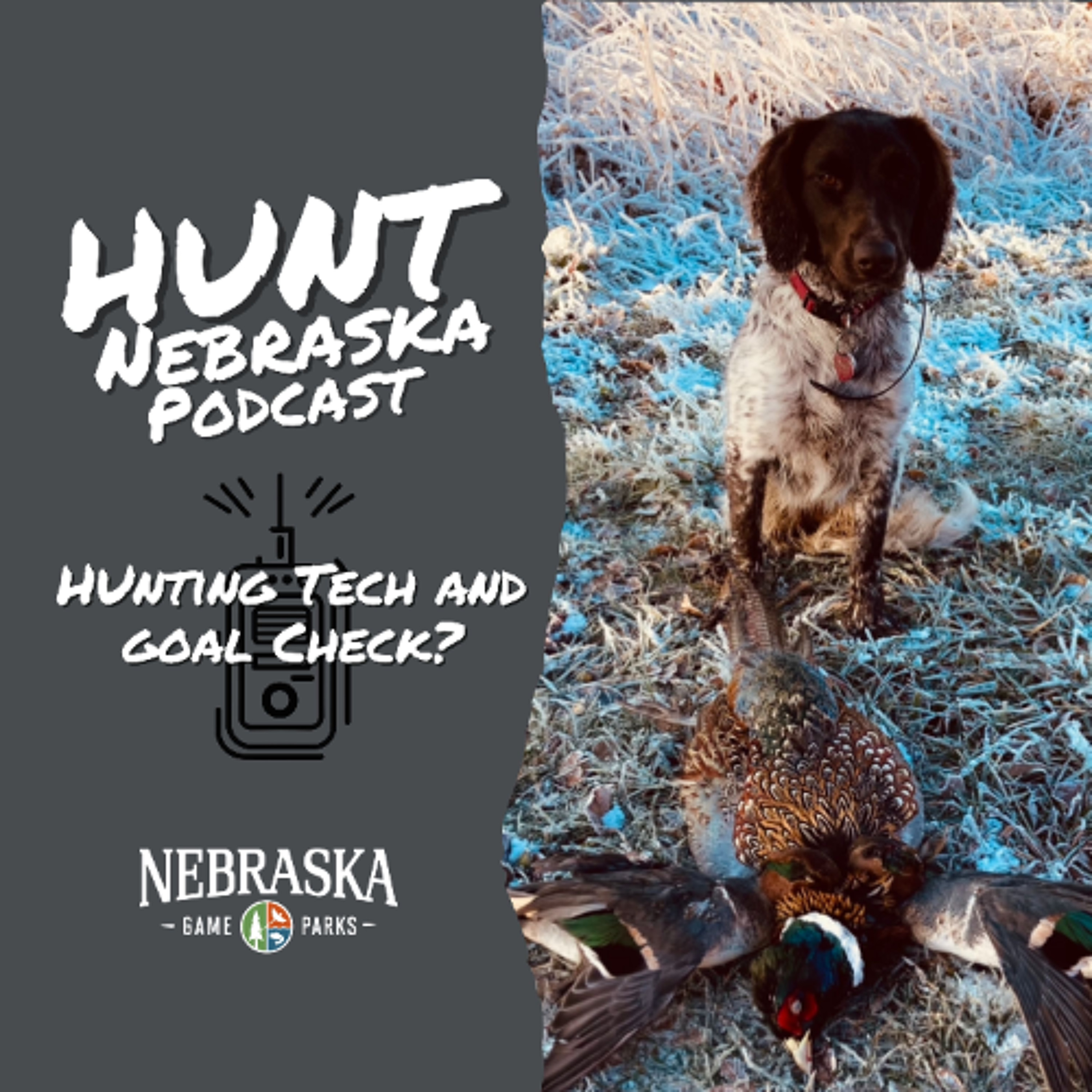 Hunting Tech and Goal Check?