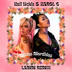 Kali Uchis & KAROL G - Labios Mordidos (LAMM REMIX)
