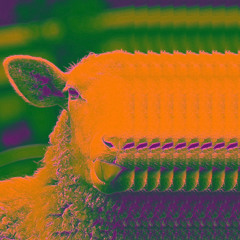 Do androids dream?