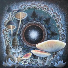 Goldcap - Mushroom Magic Set - VisionTrain.org