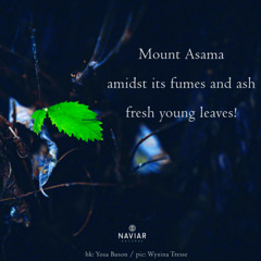 fumes and ash [naviarhaiku579]