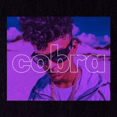 [FREE] Jovem Dex x Teto Type Beat - "Cobra" | Prod. Vyllon Beatz