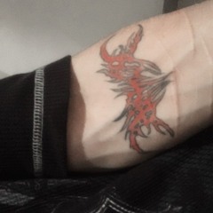 Trvsh.exe - ⛧CXRTVNDX MIS VENVS⛧