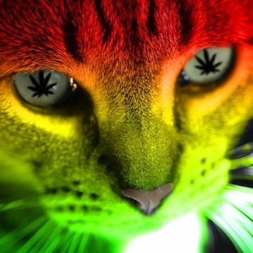 Preecha - Are You Ready For Some Bloodclat Jungle Tekno ? (2003)