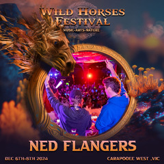Ned Flangers @ Wild Horses Festival 2024 ★