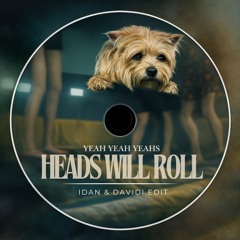 Yeah Yeah Yeahs - Heads Will Roll (IDAN & DAVIDI Edit)