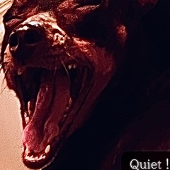 Quiet !
