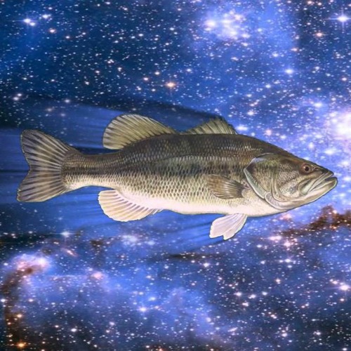 Vol.3: A Journey Through Bass And Time