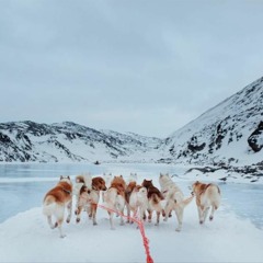 in The Footsteps Of The Polar Explorers