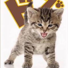 ⭐