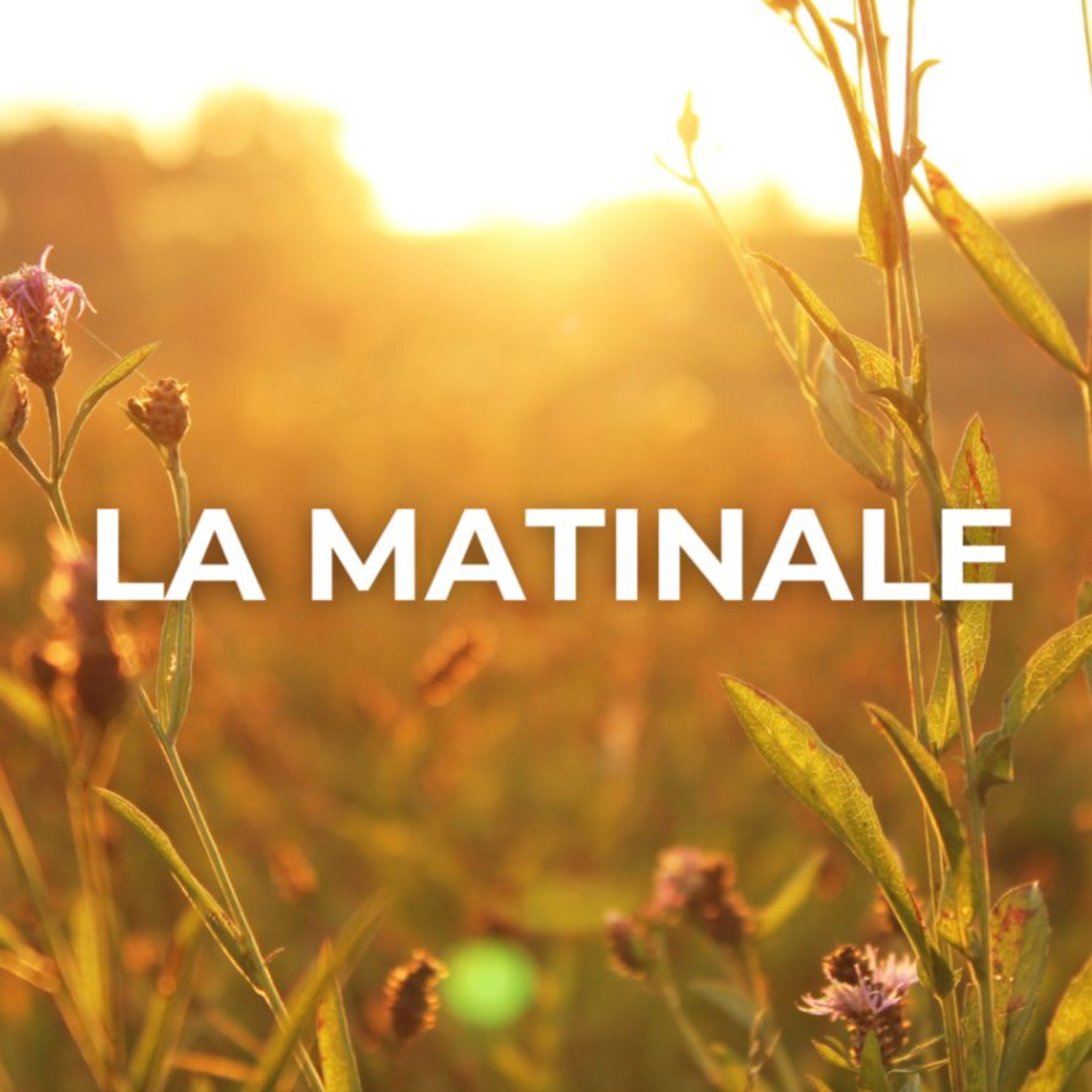 20260127-lamatinale episode artwork