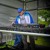 Artwork for Saltaire festival Lee James Set 2022