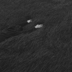 Chasing Cars