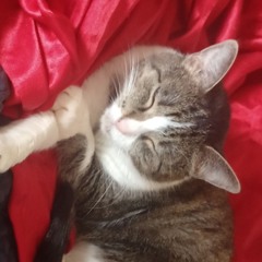 matty v - fucked up (prod. by matty v)