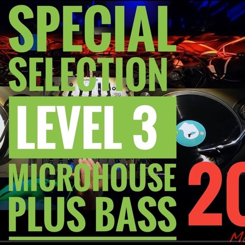 VINYL ONLY Marc Fàbregas : Selection #Level3# Microhouse Plus Bass