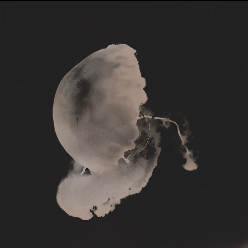 Otherworldly Pictures (Nicolas Snyder Remix) (BWF 44k-24b)