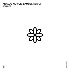Analog Novice, Samuel Terra - Souls (Original Mix) [Orange Recordings] - ORANGE231